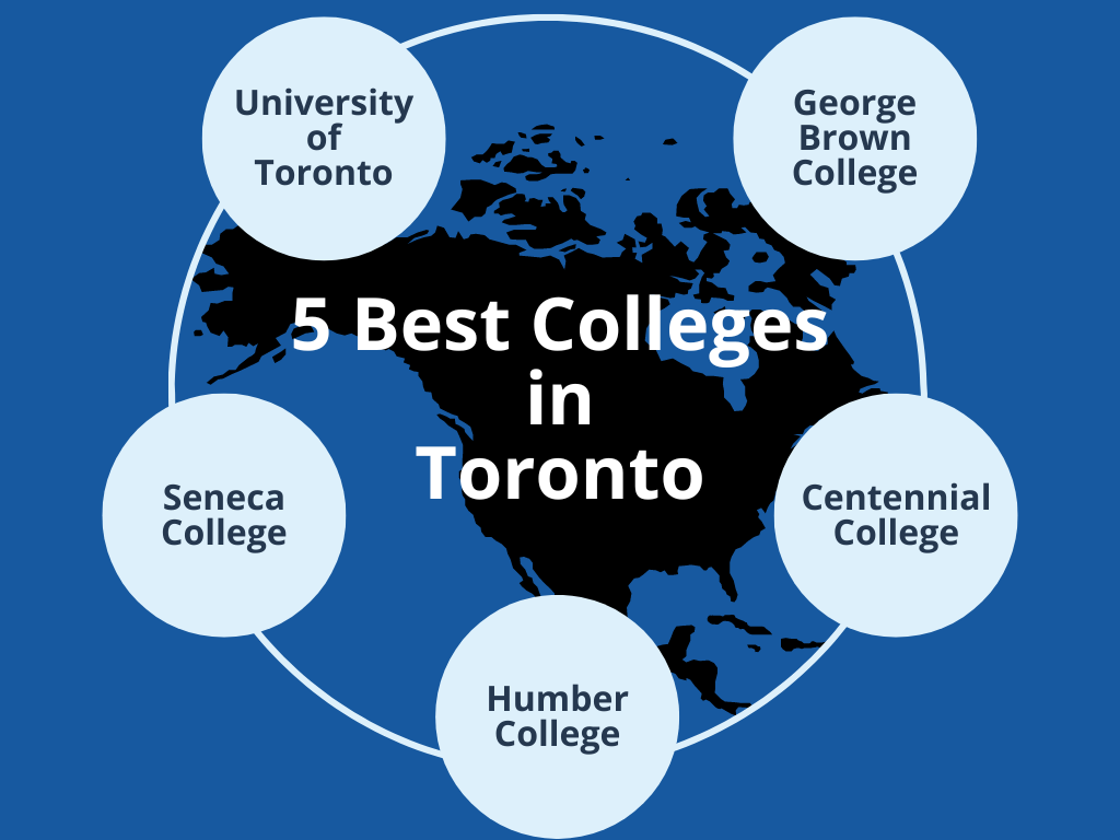 5 Best Colleges In Toronto For International Students